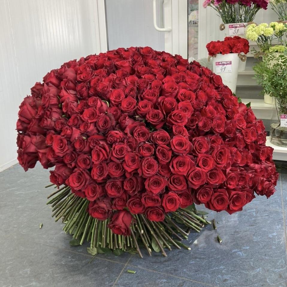 Композиция из красных роз 80 см (Эквадор)