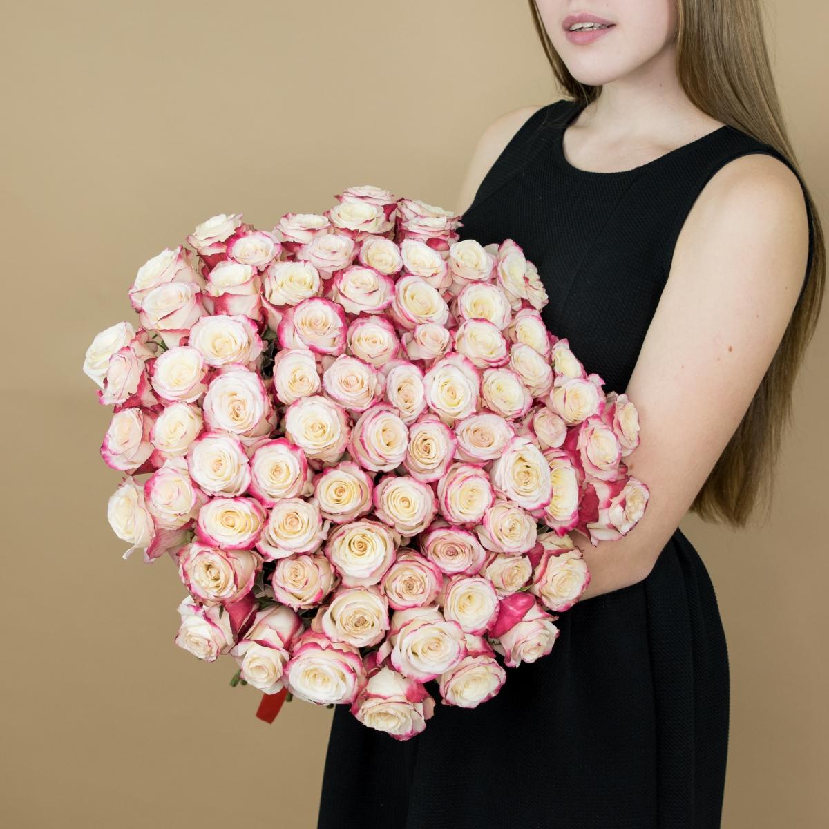 Красно-белые эквадорские розы (40 см)