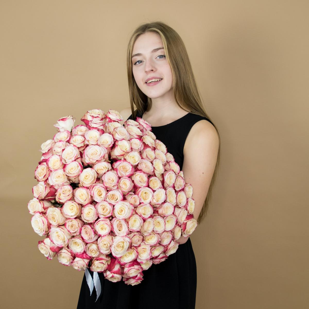 Красно-белые эквадорские розы (40 см)