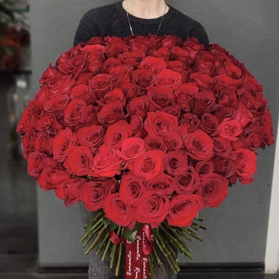 Красные эквадорские розы (70 см) премиум