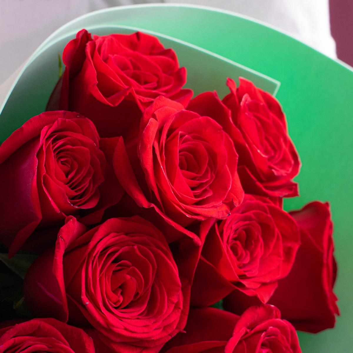 Розы 50 см красные Эквадорские