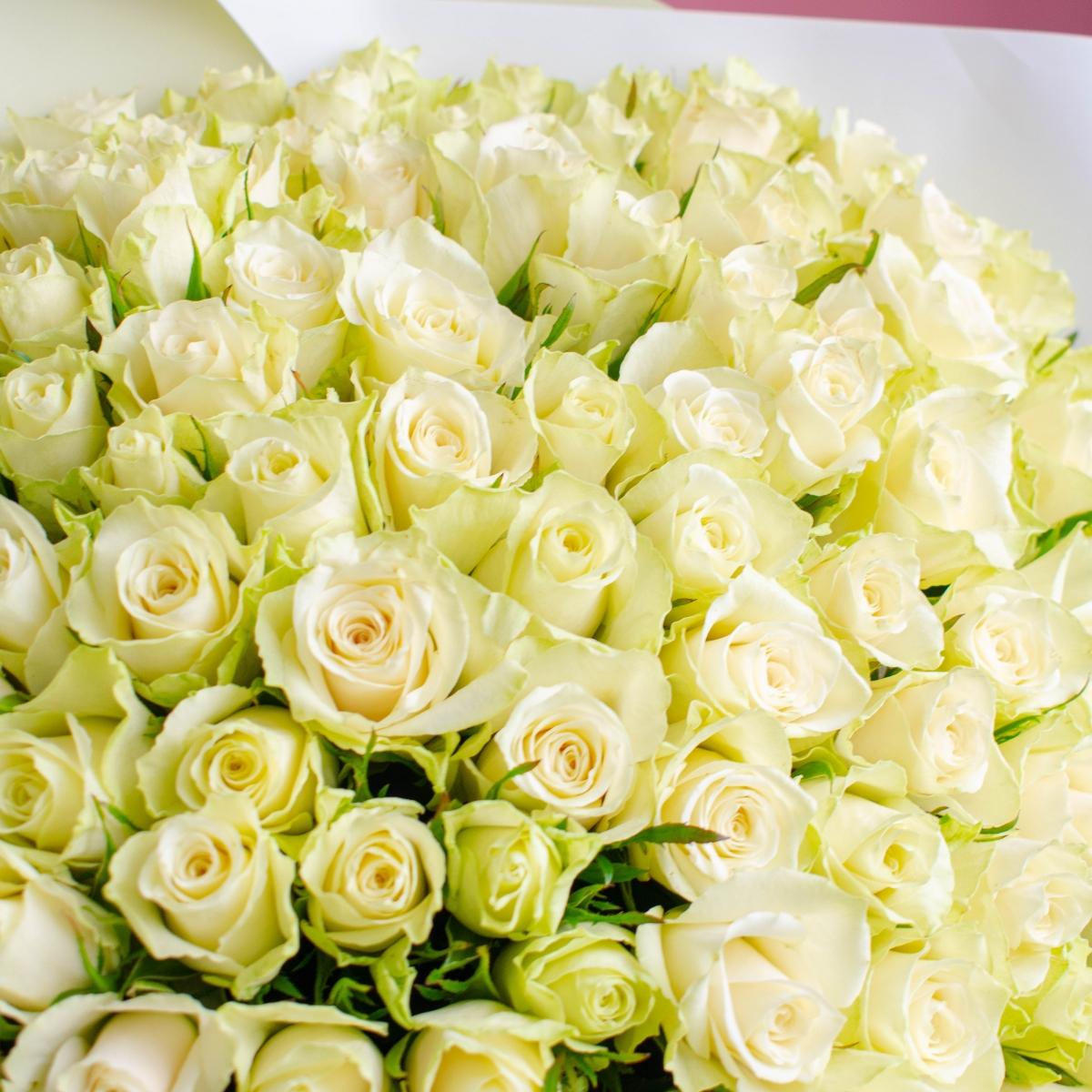 130 белых эквадорских роз