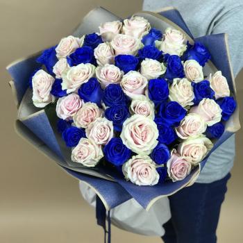 Синяя и Белая роза Эквадор 70 см 51 шт