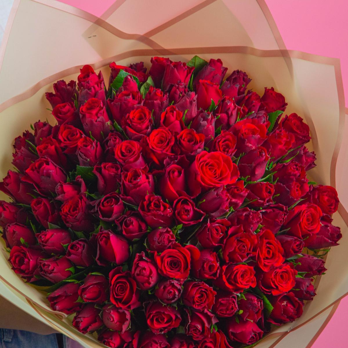 Розы красные 101 шт (Кенийские)