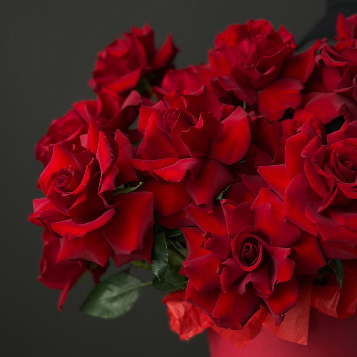 19 красных роз в коробке