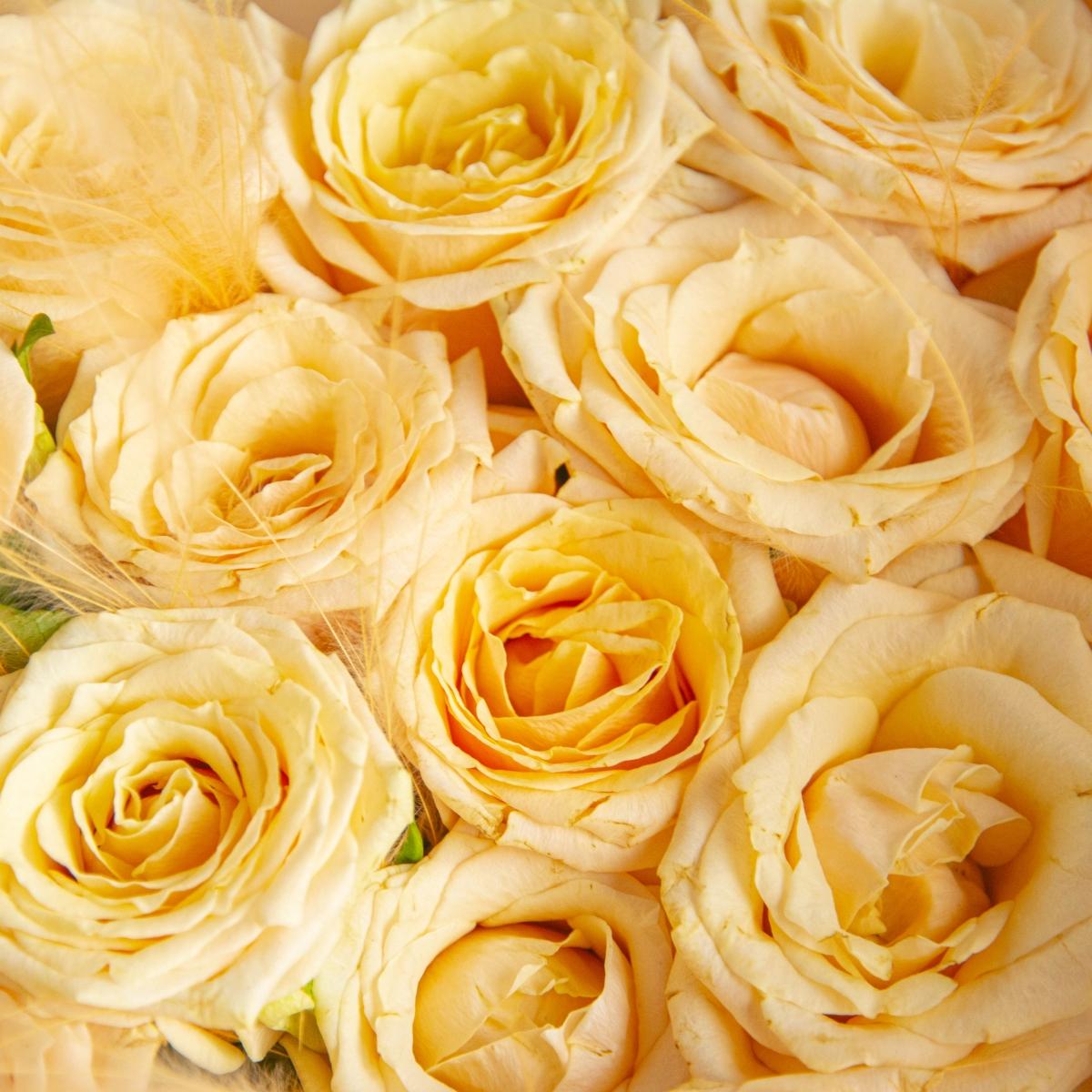19 шт жёлтых роз