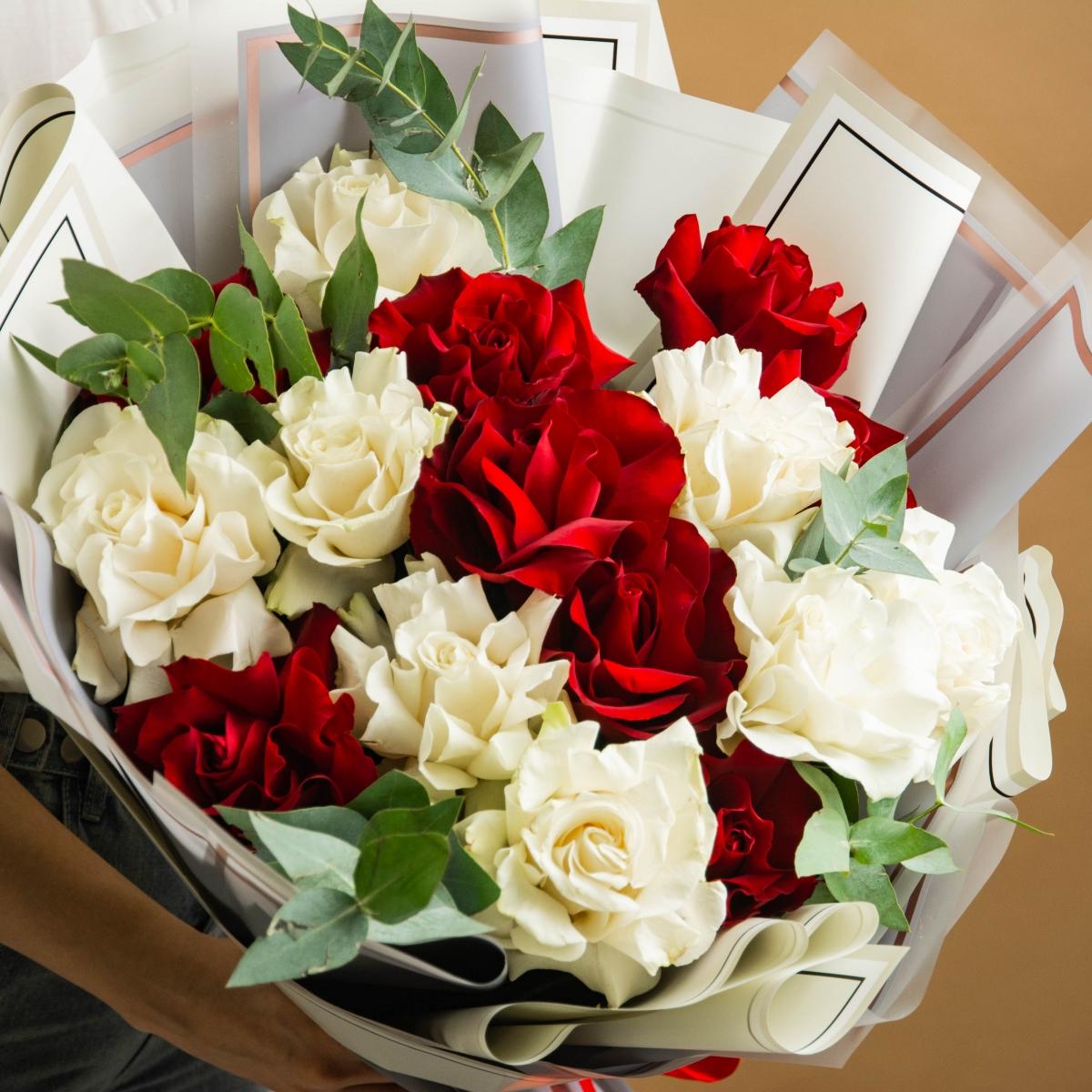 15 красно-белых роз 60 см (Эквадорские)