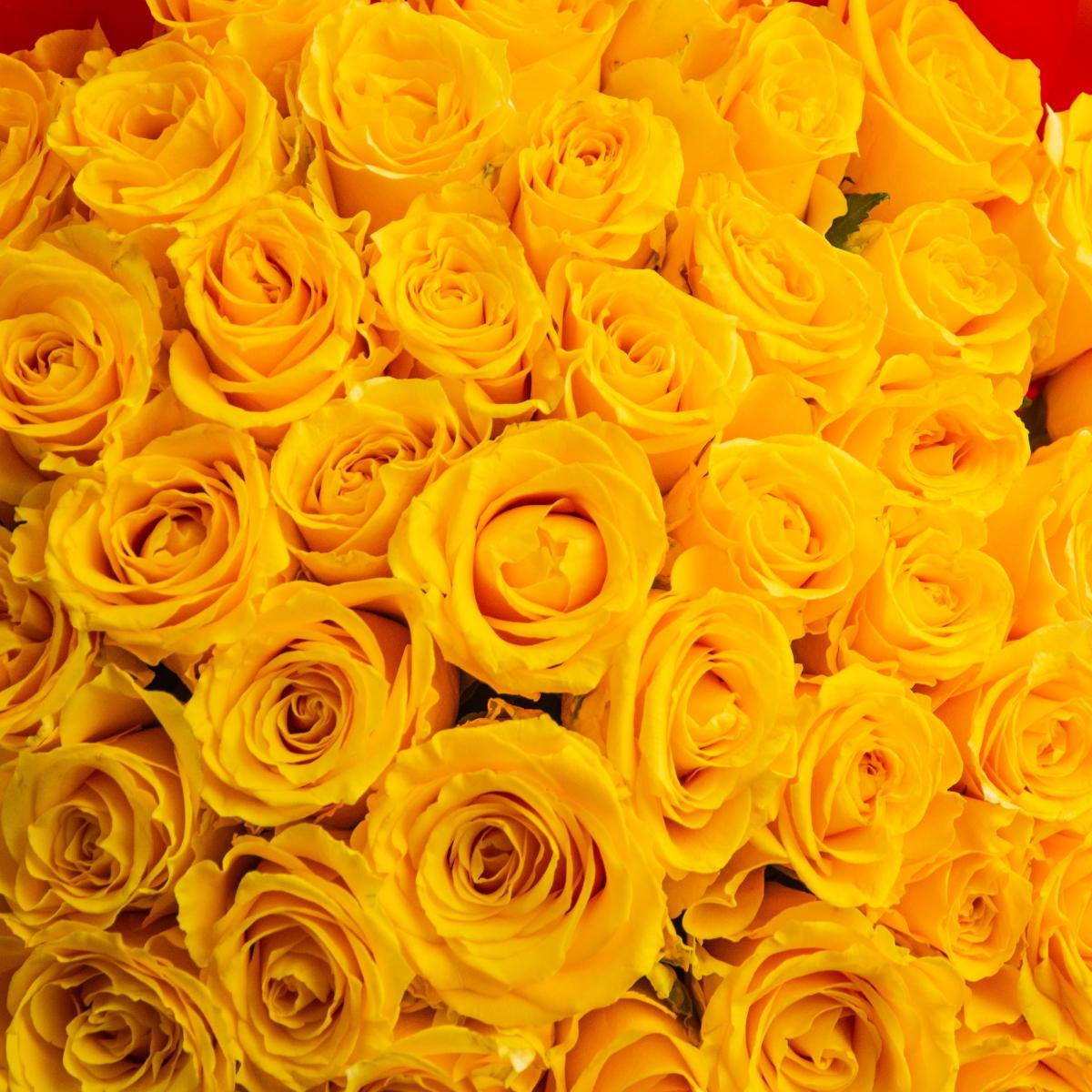 Букет цветов из 51 розы огненного цвета