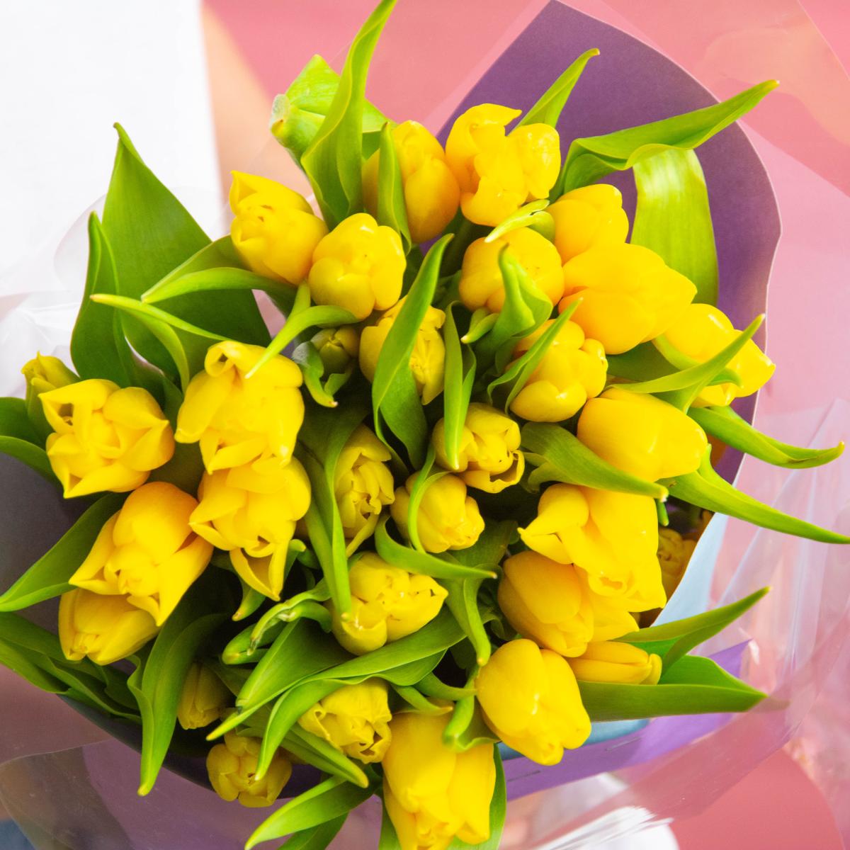 Тюльпаны 33 шт. жёлтые