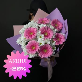 7 розовых гербер с хризантемами