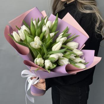 25 белых тюльпанов