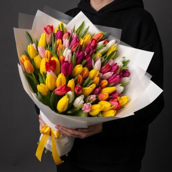 101 тюльпан микс