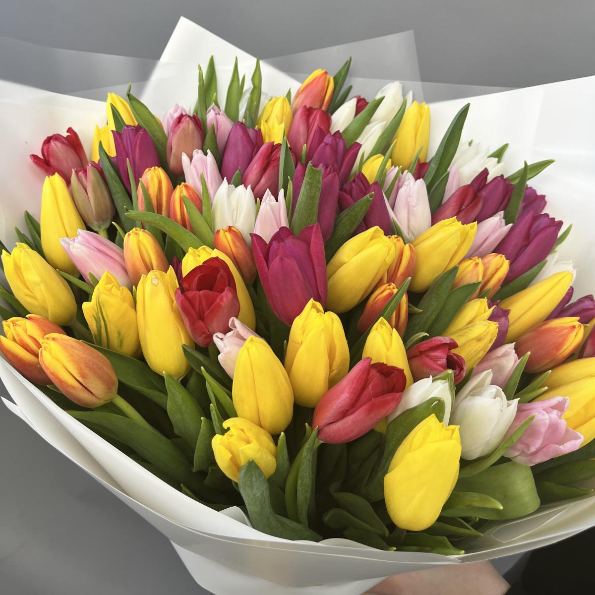 101 тюльпан микс