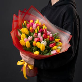 51 тюльпан микс