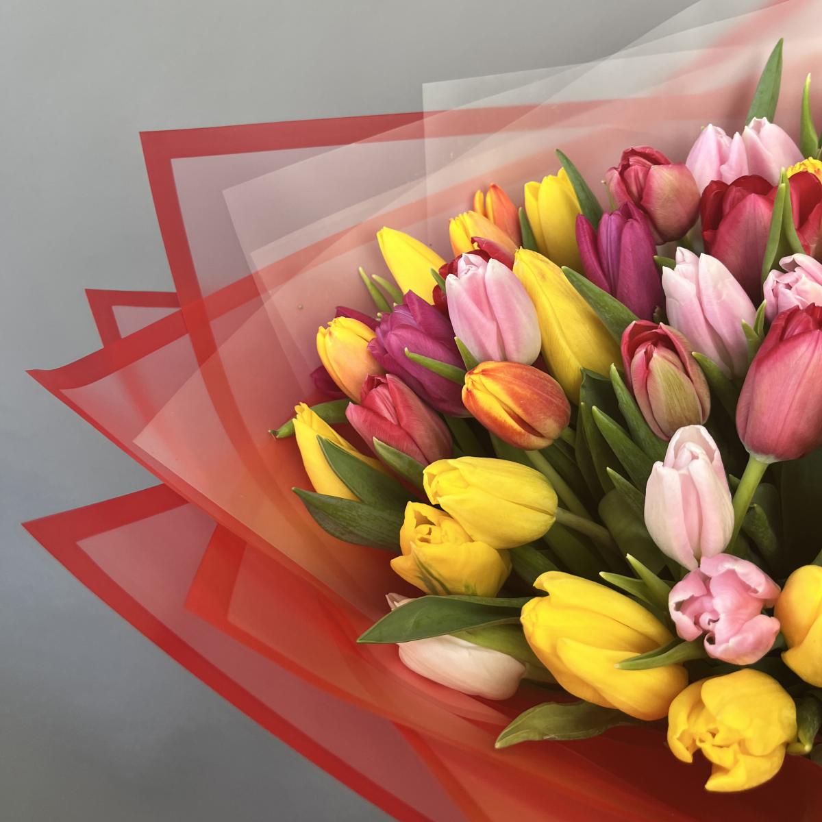 51 тюльпан микс