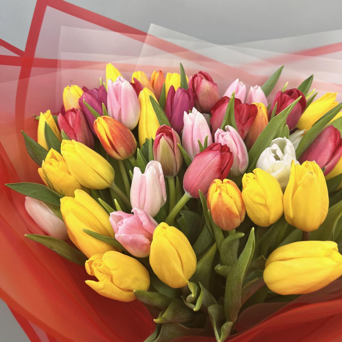 51 тюльпан микс