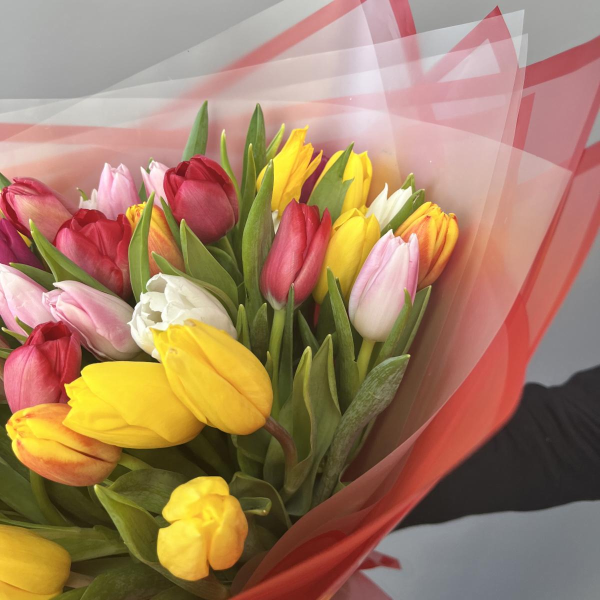 51 тюльпан микс