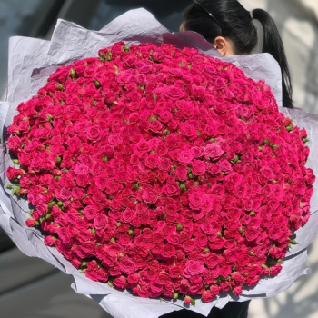 501 розовая роза в яркой упаковке