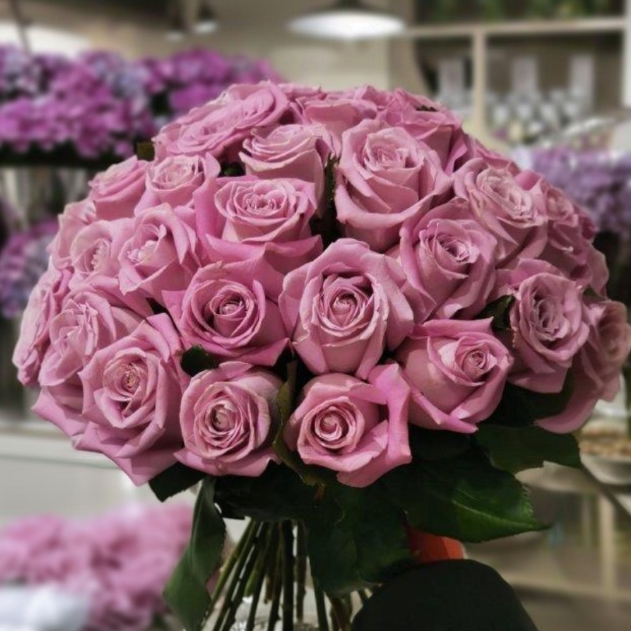 31 фиолетовая роза