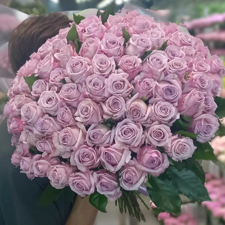 51 лиловая роза