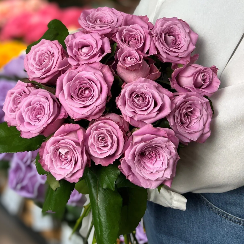 15 фиолетовых роз
